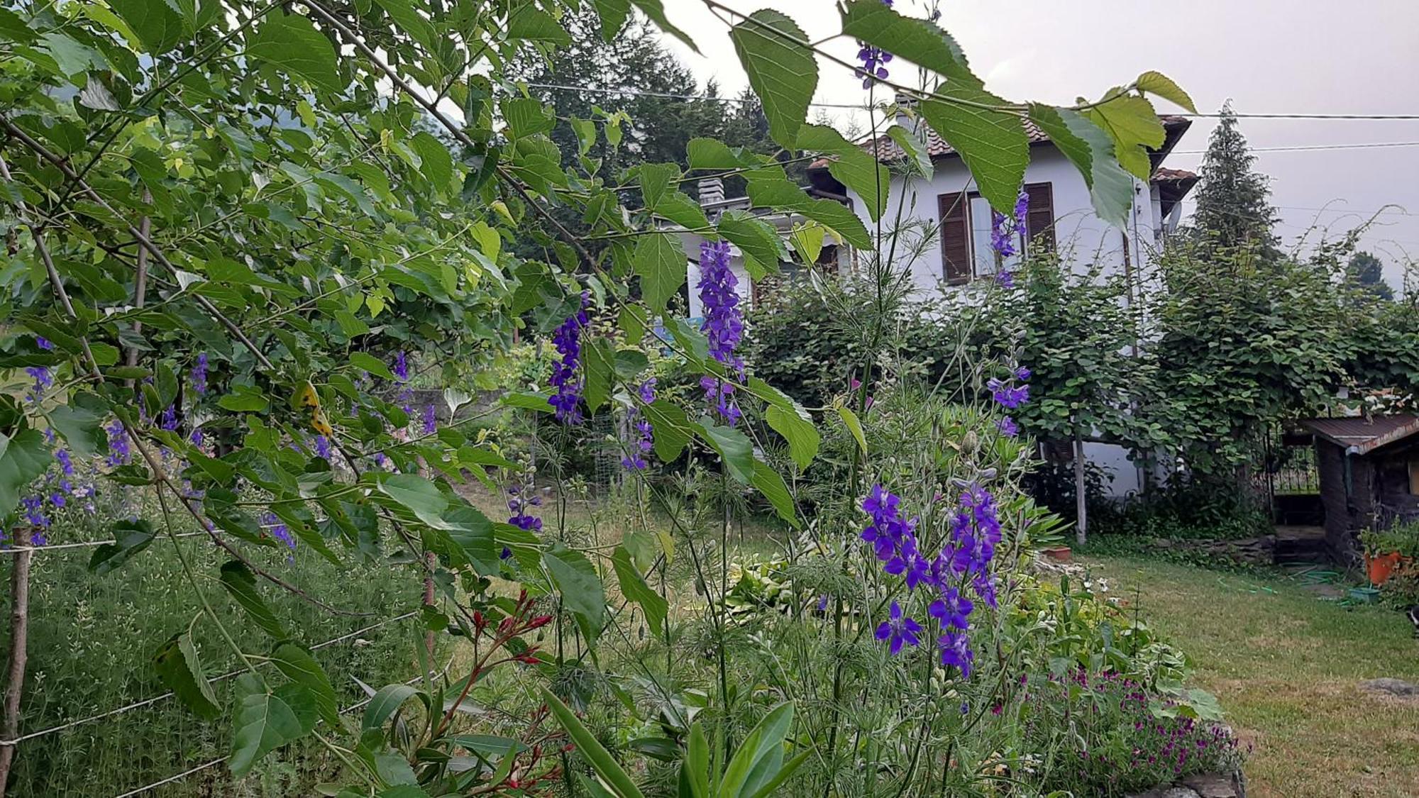 Casale Corte Cerro B&B Al Mutpron מראה חיצוני תמונה