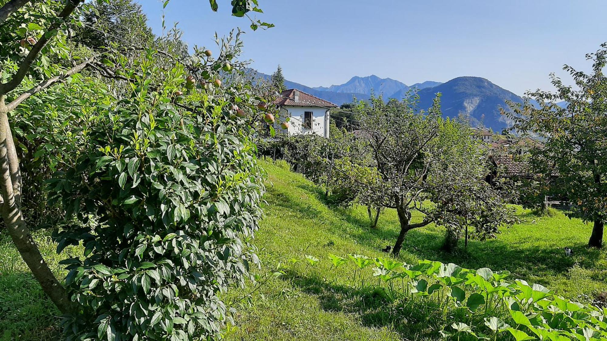 Casale Corte Cerro B&B Al Mutpron מראה חיצוני תמונה