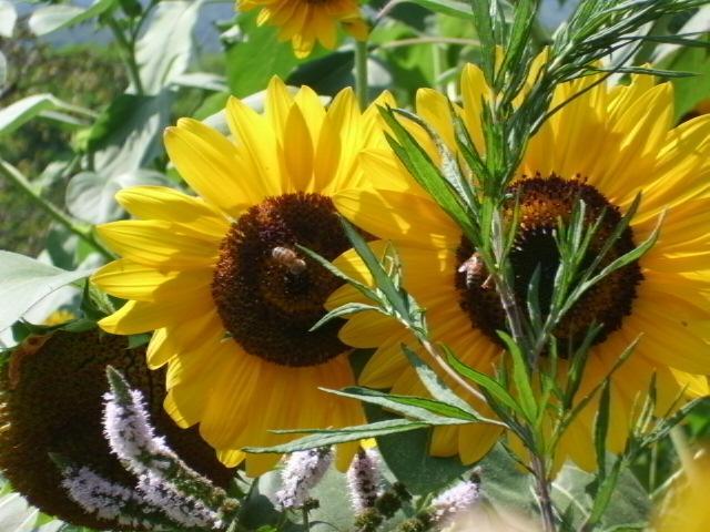 Casale Corte Cerro B&B Al Mutpron מראה חיצוני תמונה