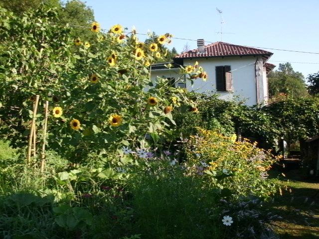 Casale Corte Cerro B&B Al Mutpron מראה חיצוני תמונה