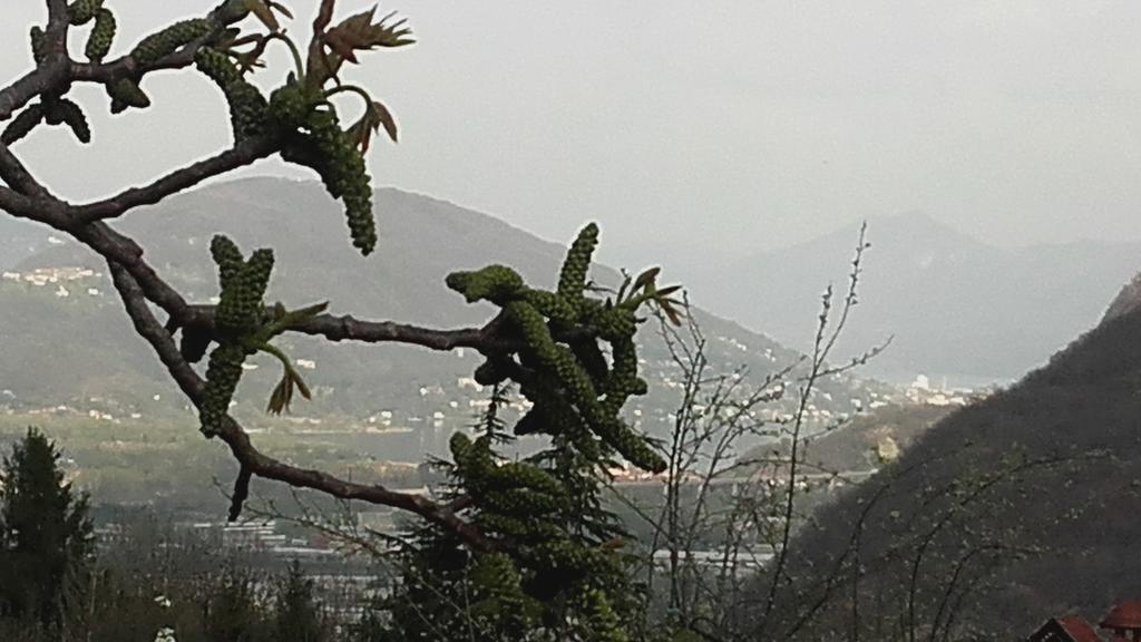 Casale Corte Cerro B&B Al Mutpron מראה חיצוני תמונה